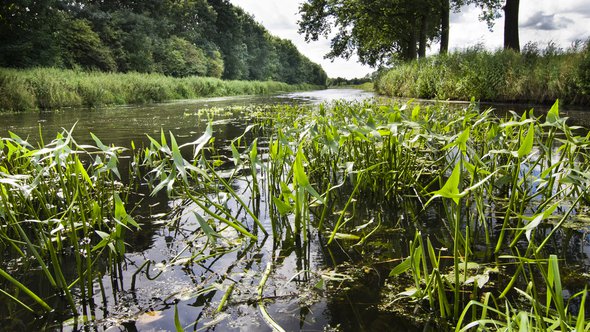 Thumb_landelijk_0_1000px