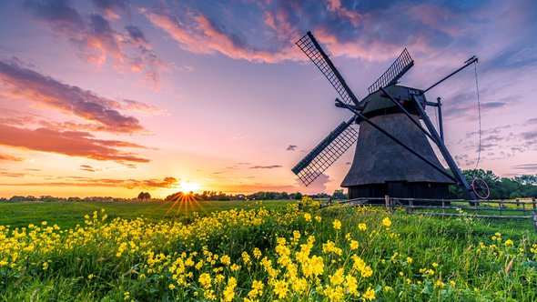 Nederlands landschap, Friesland door larskuse (bron: shutterstock.com)