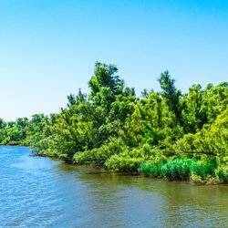 Rivier de Amer in Noord-Brabant. door Poleijphoto (bron: Shutterstock)