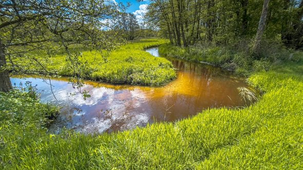 Nationaal Park Drentsche Aa door Rudmer Zwerver (bron: shutterstock)