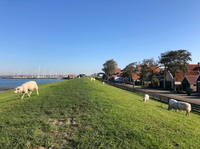 Friesland, Nederland door Travel Telly (bron: Shutterstock)