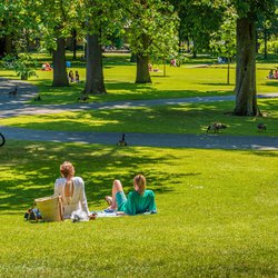 Park in Breda door Ruud Morijn Photographer (bron: shutterstock.com)