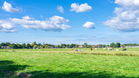 Landelijk landschap in Nederland door Menno van der Haven (bron: Shutterstock)