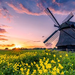 Nederlands landschap, Friesland door larskuse (bron: shutterstock.com)