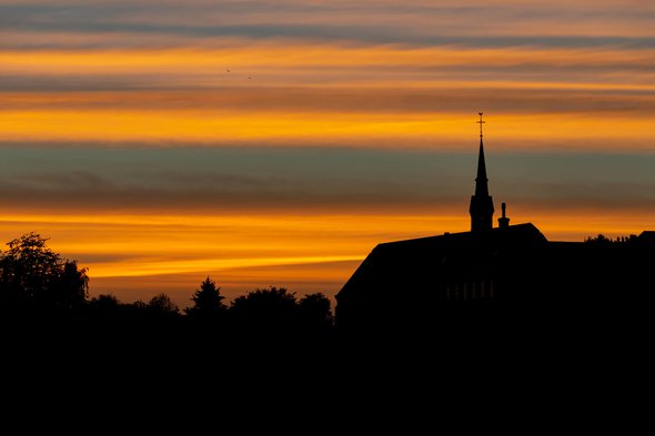Biezenmortel bij zonsopkomst, Brabant, Netherlands door Erwin Kissen (bron: Shutterstock)