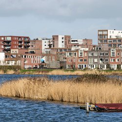 Amsterdam, The Netherlands, February 11, 2022: view across a lake with reeds-lined banks towards a modern neighbourhood with mailnly brick housing in IJburg district door Frans Blok (bron: shutterstock)