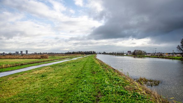 Zuidplaspolder bij Gouda door Frans Blok (bron: Shutterstock)