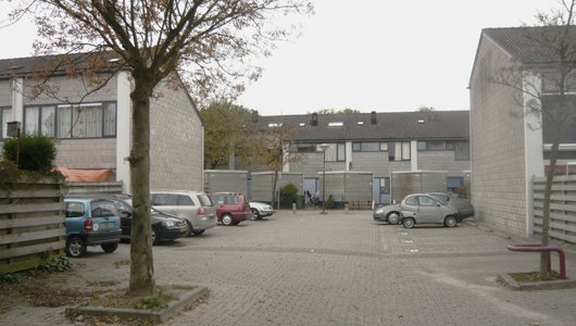 2012.10.08_Bloemkoolwijken_530px