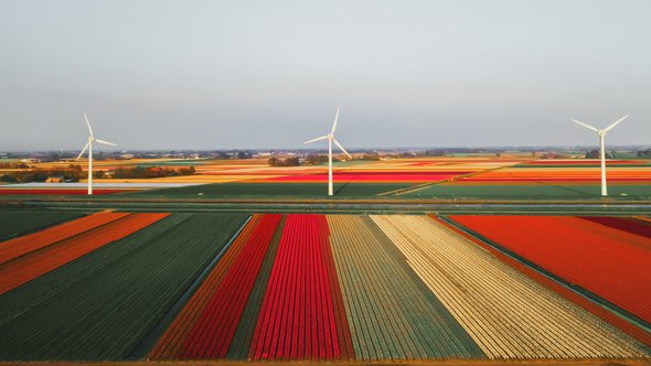 Windmolens Callantsoog_Photo by redcharlie on Unsplash door redcharlie (bron: Unsplash)