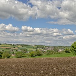 "Heuvellandschap Epen en Vijlen - Zuid-Li" (CC BY-ND 2.0) by Frans Berkelaar door Frans Berkelaar (bron: Flickr)