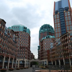 Woningen Den Haag