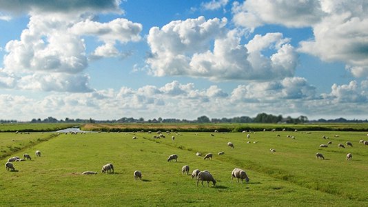 2015.04.22_De economische vitaliteit van kleine kernen_660