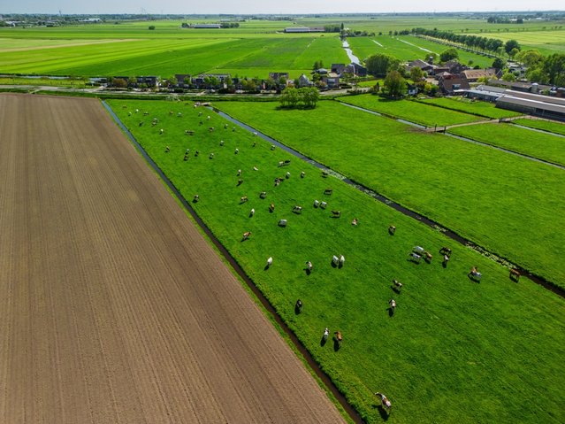 Luchtfoto groen land door Ivan Vasylyev (bron: Shutterstock)