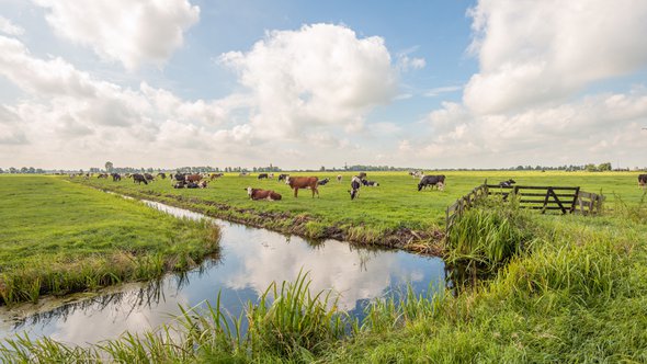 Langerak, Zuid-Holland door Ruud Morijn Photographer (bron: Shutterstock)