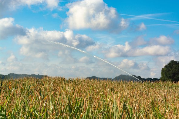 Irrigatie met machine en water uit een meer in Noord-Brabant, Nederland door barmalini (bron: Shutterstock)