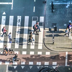 Zebrapad in Rotterdam door Frans Blok (bron: Shutterstock)