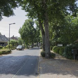 Groenstraat Udenhout door Ton van Rooij (bron: Gemeente Tilburg)