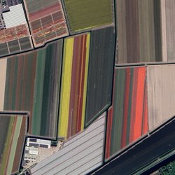 Tulpenvelden door Aerial Viewer (bron: Shutterstock)