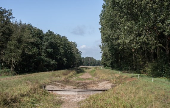 Droge kreek tijdens de hete zomer door AnoukHPhotography (bron: Shutterstock)