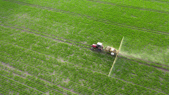 Spring agricultural work in the fields. The tractor sprays crops with herbicides, insecticides and pesticides. door mykhailo pavlenko (bron: Shutterstock)