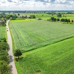 Aerial drone view of green fields and farm houses near canal from above, Netherlands door JaySi (bron: Shutterstock)