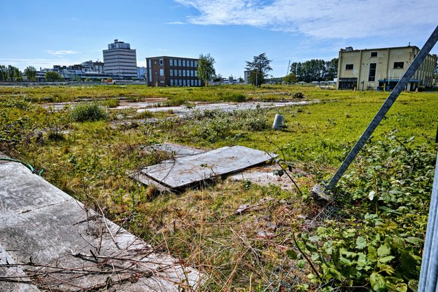 Leeg stuk grond op industrieterrein in Delft door Joachim Ulrich Seibert (bron: Shutterstock)