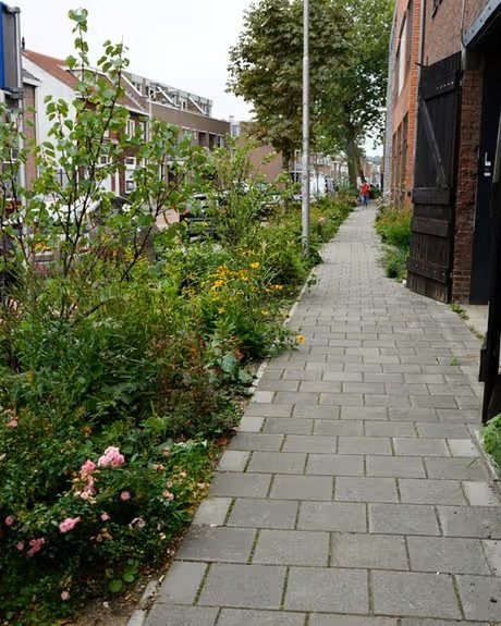 Trouwlaan na door Ruimtelijke Ordening (bron: Ruimtelijke Ordening)