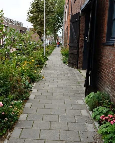 Trouwlaan na door Ruimtelijke Ordening (bron: Ruimtelijke Ordening)