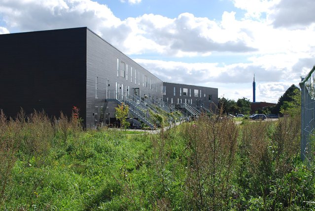 Lange Eng Cohousing Albertslund, Denemarken door Jesper Pagh (bron: flickr.com)