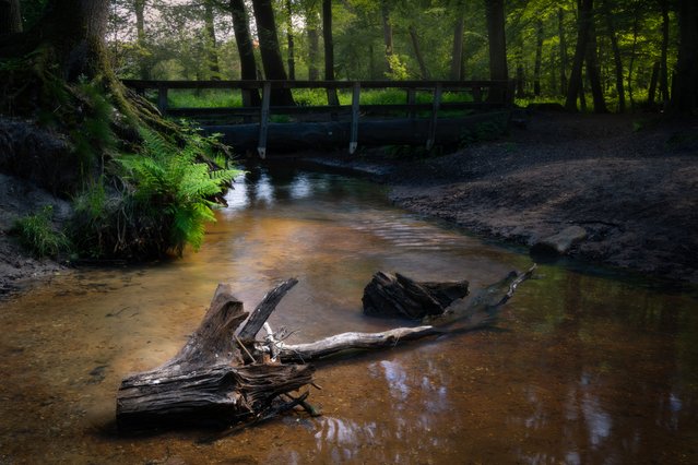 Venray (Oostrum, Netherlands) door Sjors Gijsbers (bron: shutterstock)
