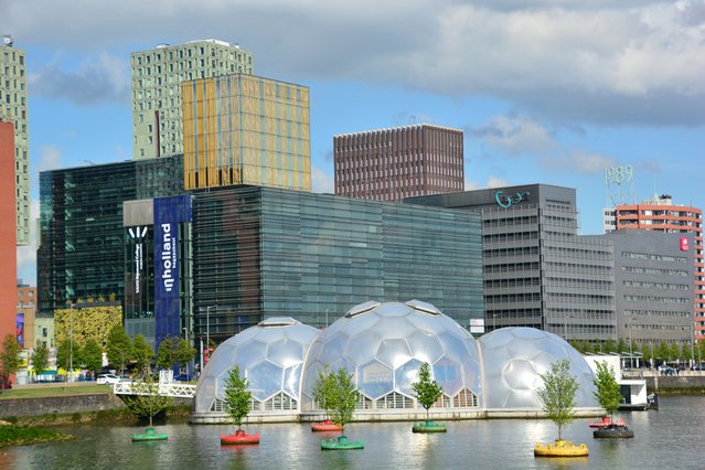 Drijvend(e) bos en bollen in de Rijnhaven, Rotterdam door 365 Focus Photography (bron: Shutterstock)