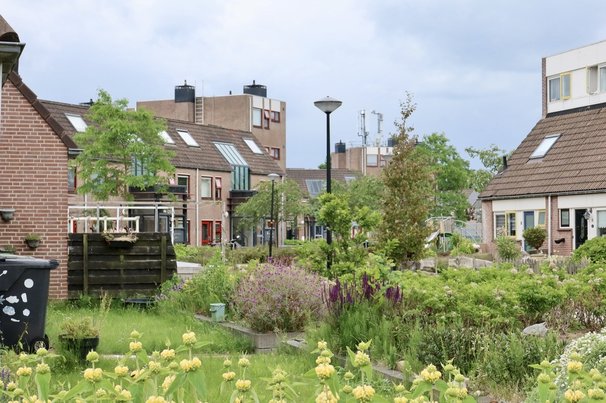 Heerhugowaard Nederland door Yuliia24 (bron: Shutterstock)