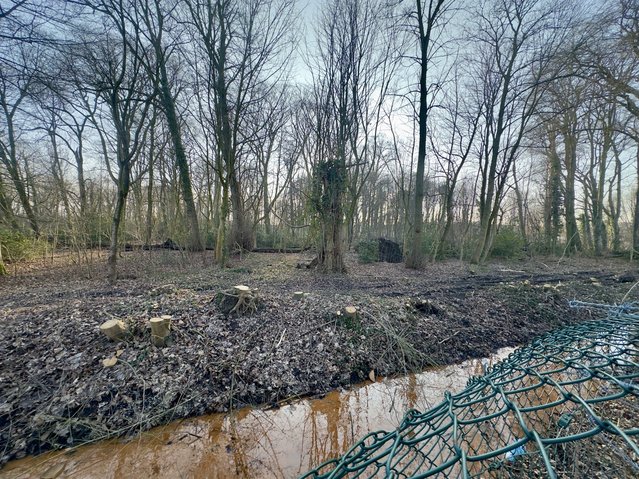 Stadsbos Cromhoff Enschede door Kees de Graaf (bron: Kees de Graaf)