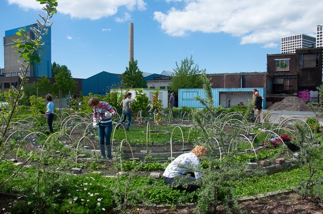 De Voedseltuin door Menno Leutscher (bron: portcityfutures.nl)