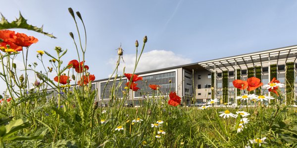 (Schiphol Trade Park) Tijdelijke-natuur-en-groene-gevel_Schiphol-Trade-Park door SADC (bron: SADC)
