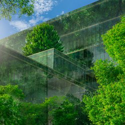 Bomen  voor gebouw door Fahroni (bron: shutterstock.com)