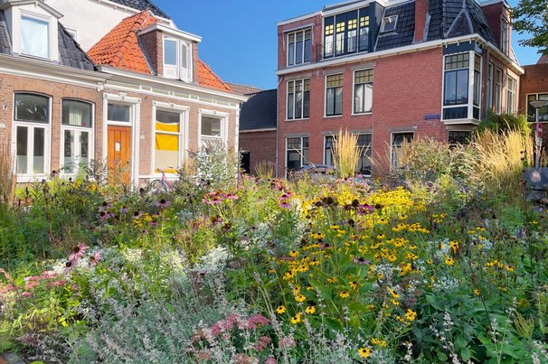 Groene Oase tussen gebouwen in door Rene Notenbomer (bron: Shutterstock)