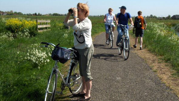 groen recreatie natuur fietsen