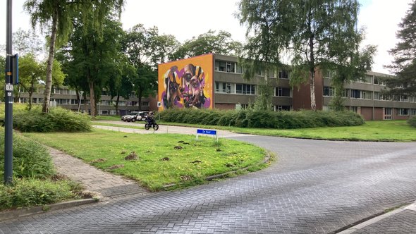 Emmerhout, Emmen door Teun van den Ende (bron: Teun van den Ende)