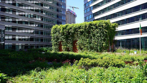 Begroeid trafohuis Beatrixkwartier Den Haag door Nanda Sluijsmans (bron: Wikipedia Commons)