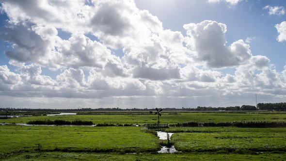 Alkmaar natuurgebied (Flickr) (bron: Flickr)