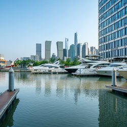 Financial district Shanghai door Lushengyi (bron: Shutterstock)