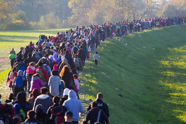 Vluchtelingen door Janossy Gergely (bron: shutterstock.com)