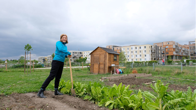 Seestadt_3_Job Zomerplaag