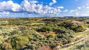 De 'Amsterdamse waterleidingduinen'. Een duingebied tussen Zandvoort (Noord-Holland) en de Langevelderslag in Noordwijk (Zuid-Holland). Nederland door Atosan (bron: Shutterstock)