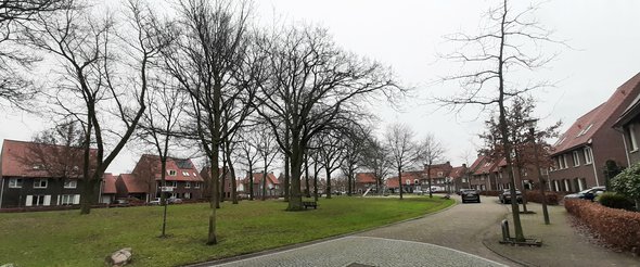 Stepekolk, brinkachtig plantsoen door Haan en Laan (bron: Haan en Laan)