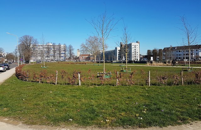 Koningspark op de Groene Loper, Maastricht door Kleon3 (bron: Wikimedia Commons)