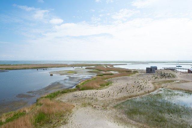 Marker Wadden door Theo Baart (bron: Theo Baart)