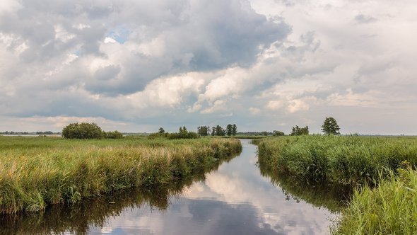 Nationaal Park Weerribben-Wieden door Agnes Monkelbaan (bron: Wikimedia Commons)