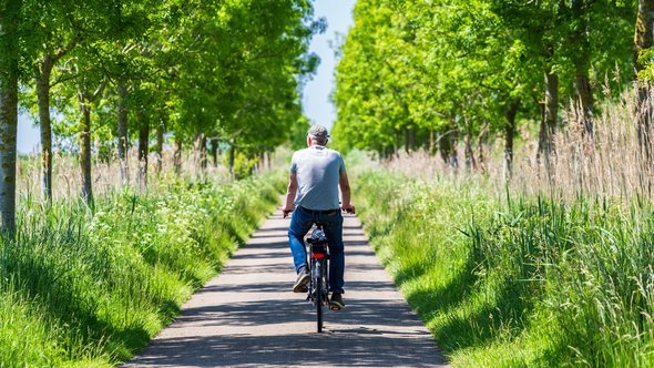 Fietsen in de Tiengemeten Hoeksche Waard door INTREEGUE Photography (bron: Shutterstock)